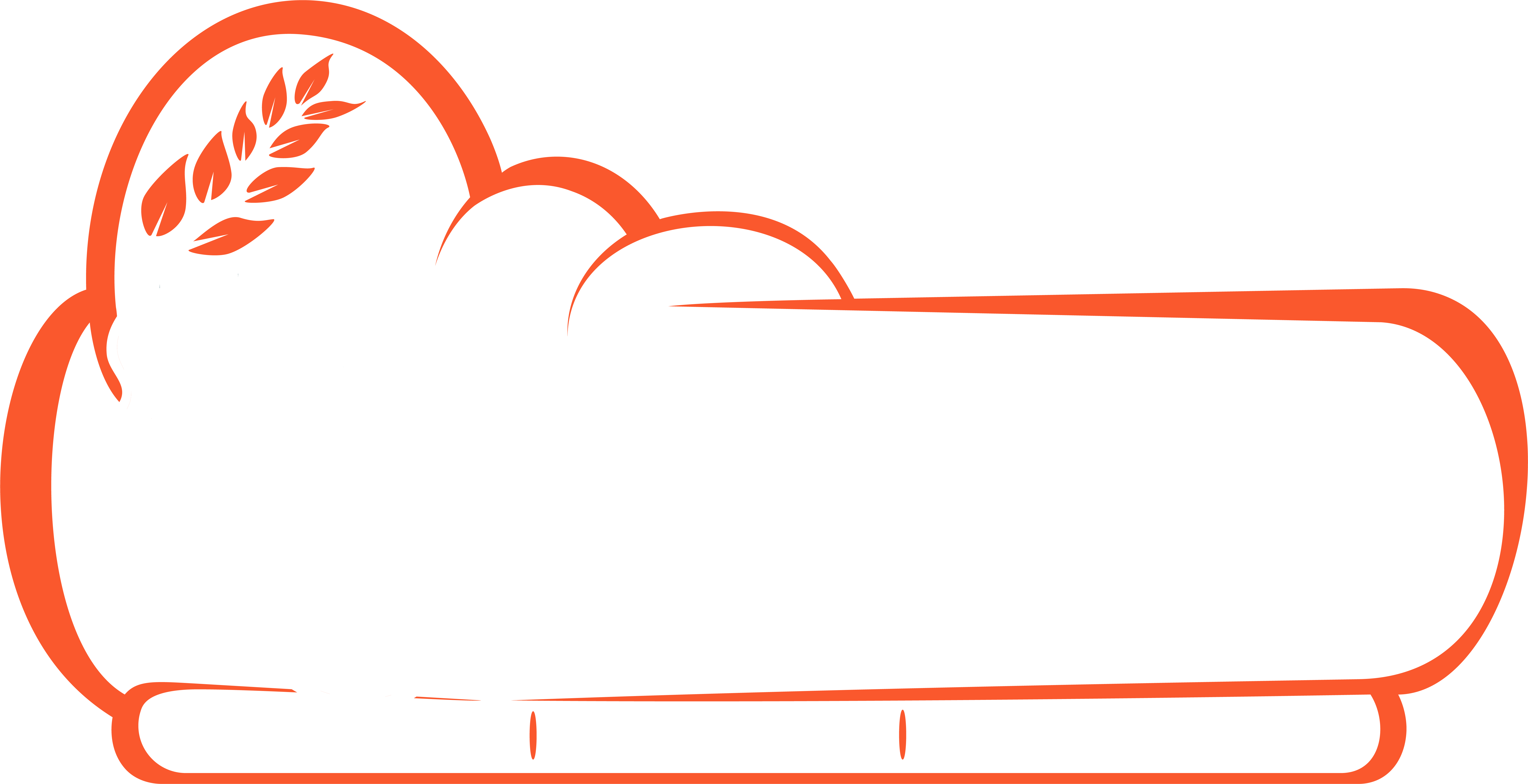 Soteria Cloud - Parent Company